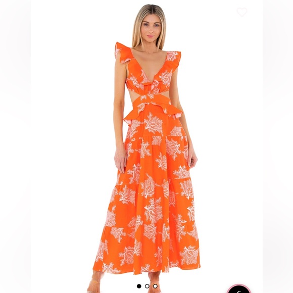 Karina Grimaldi MARIGOT PRINTED MAXI DRESS - Picture 1 of 13